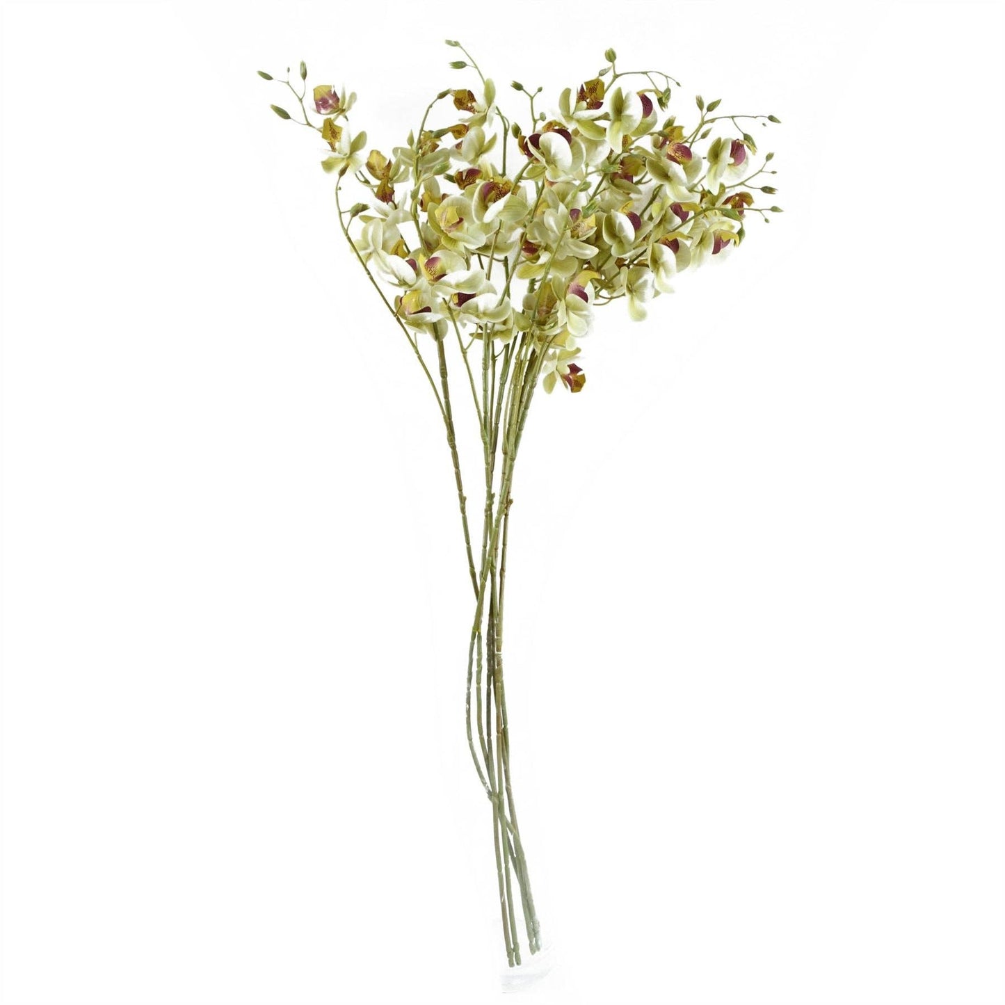 Cream Mini Orchid Bunch