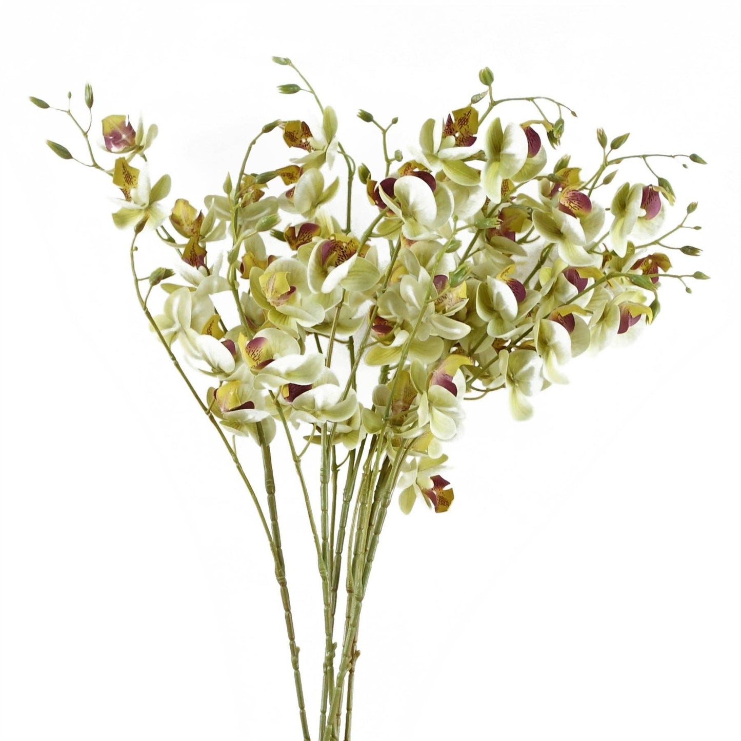 Cream Mini Orchid Bunch