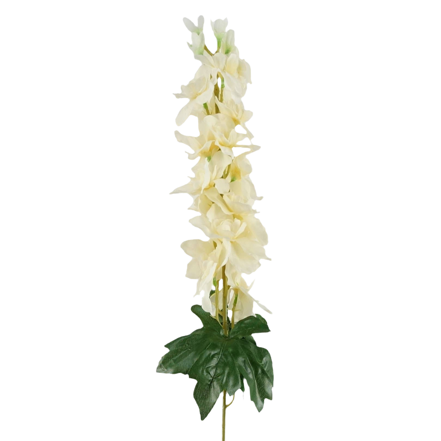 Cream Delphinium Bunch