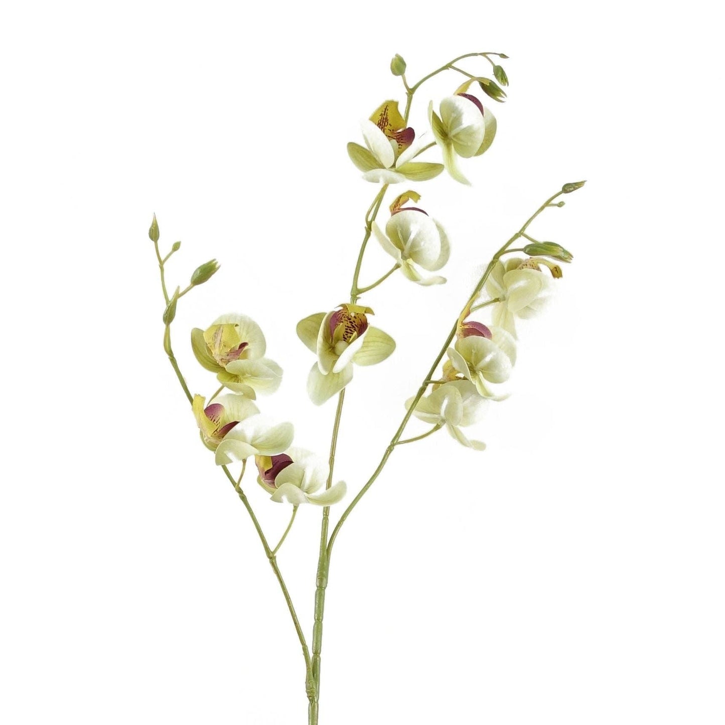 Cream Mini Orchid Bunch
