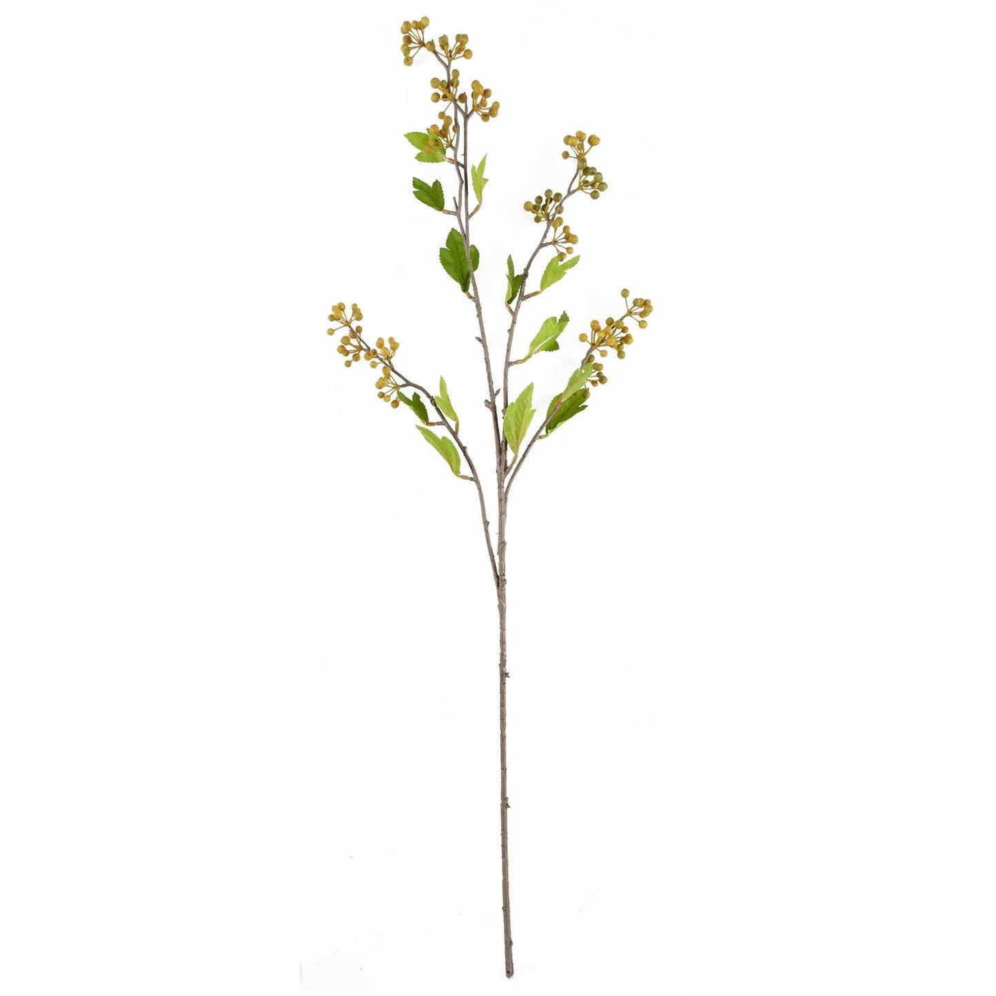 Yellow Berry Stem Foliage Bunch