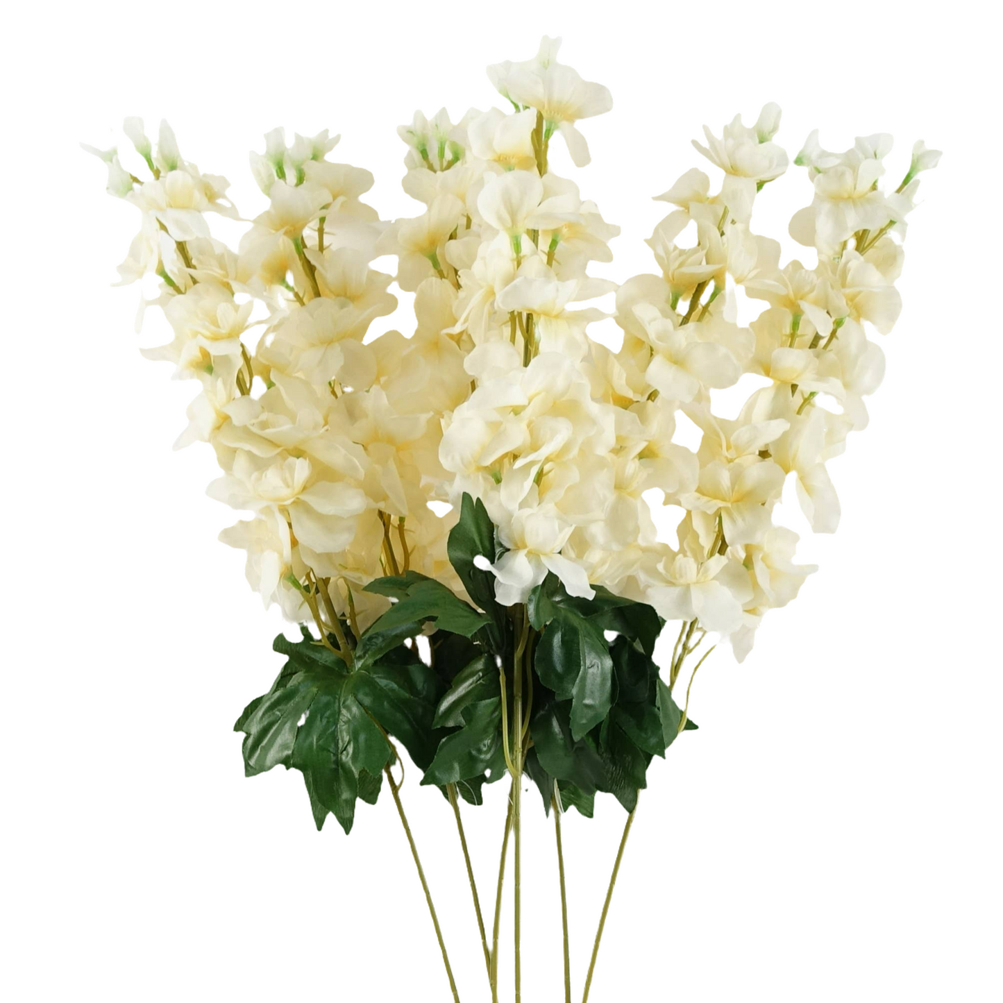 Cream Delphinium Bunch
