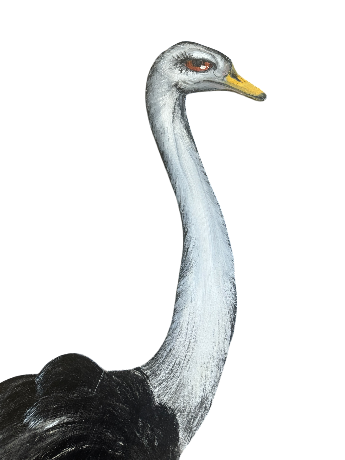 Handpainted Ostrich Decor