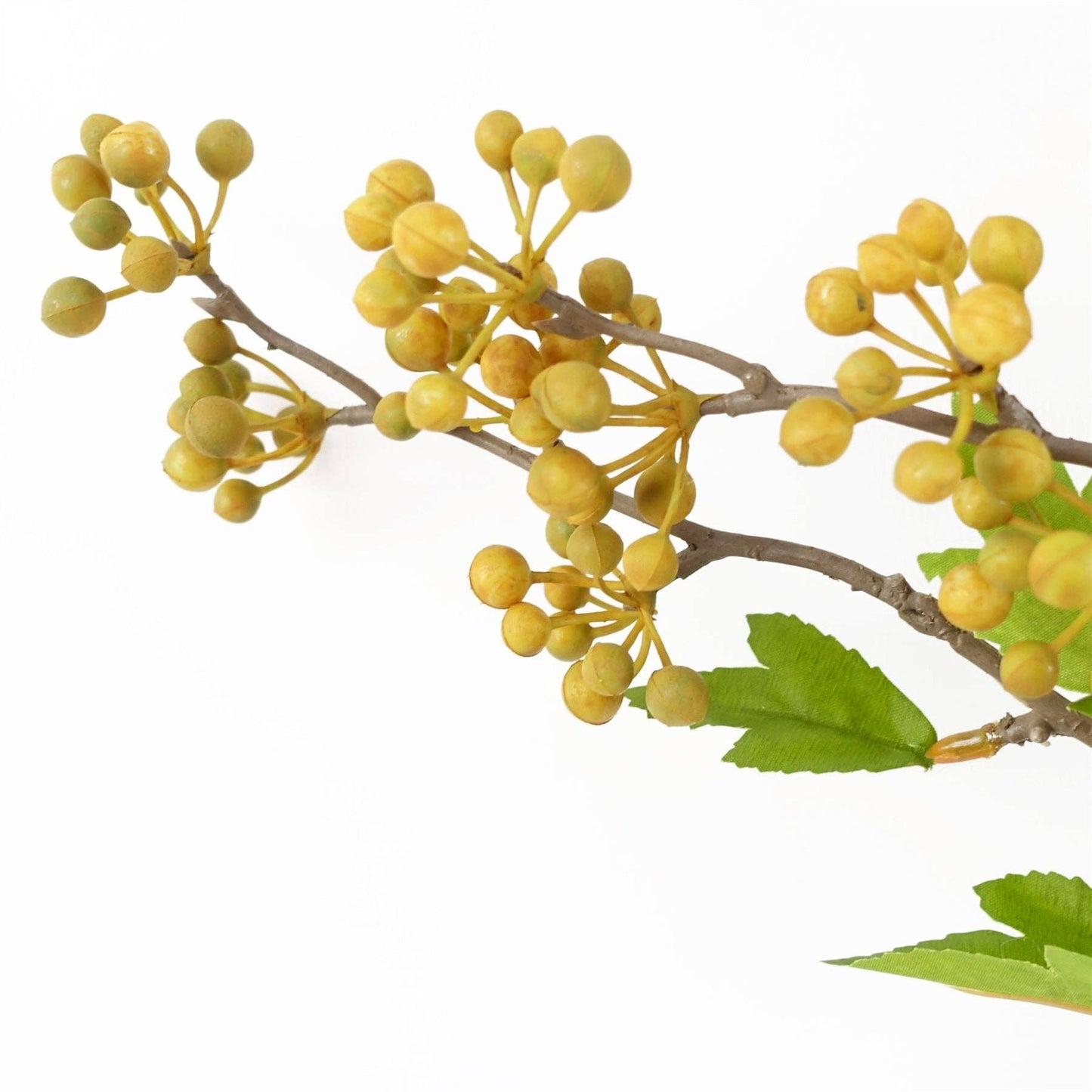Yellow Berry Stem Foliage Bunch