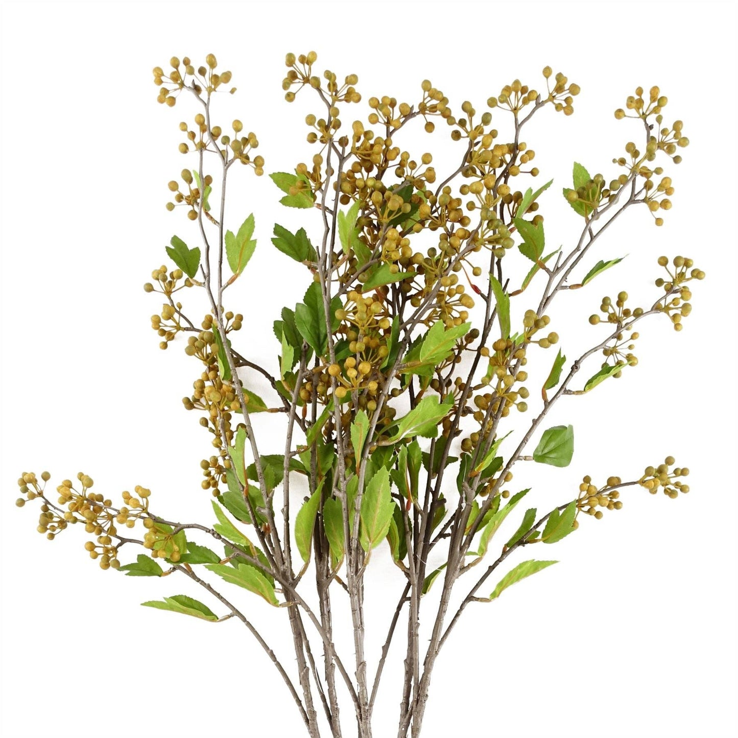 Yellow Berry Stem Foliage Bunch