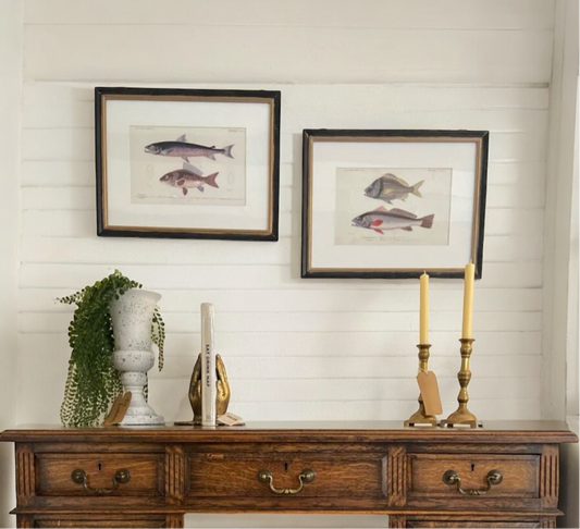 Pair of Fish Prints in Antique Style Black Frames