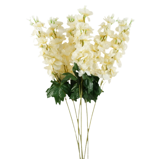 Cream Delphinium Bunch