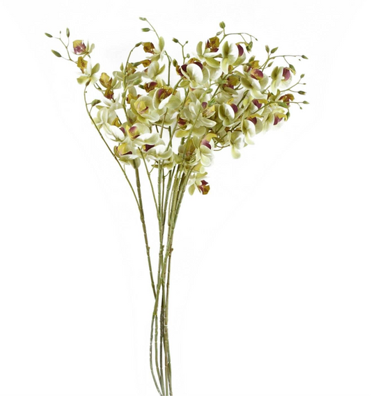 Cream Mini Orchid Bunch