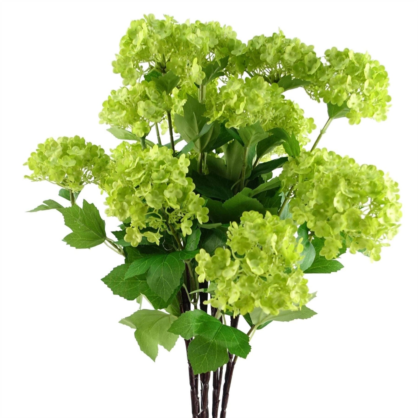 Viburnum Spray Foliage Bunch