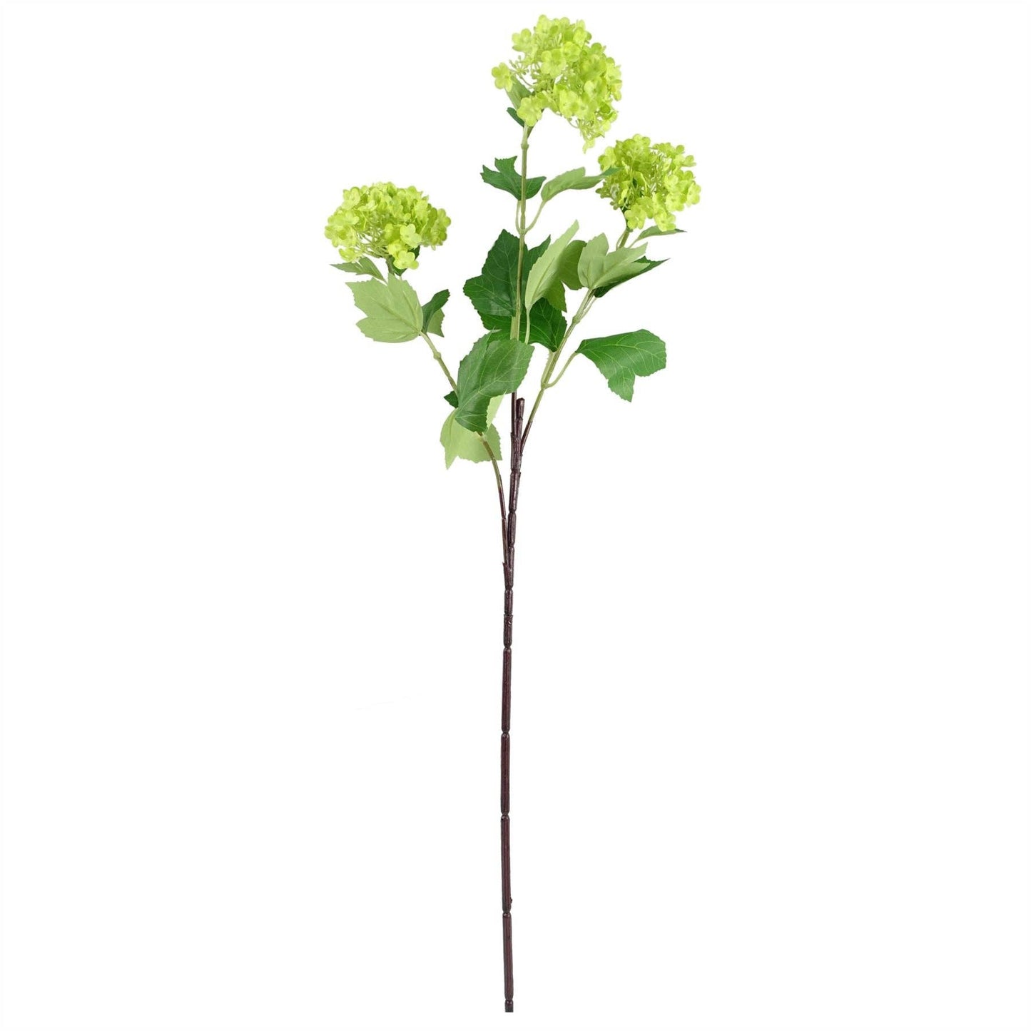 Viburnum Spray Foliage Bunch